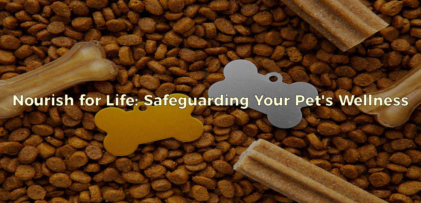 PET FOOD 1