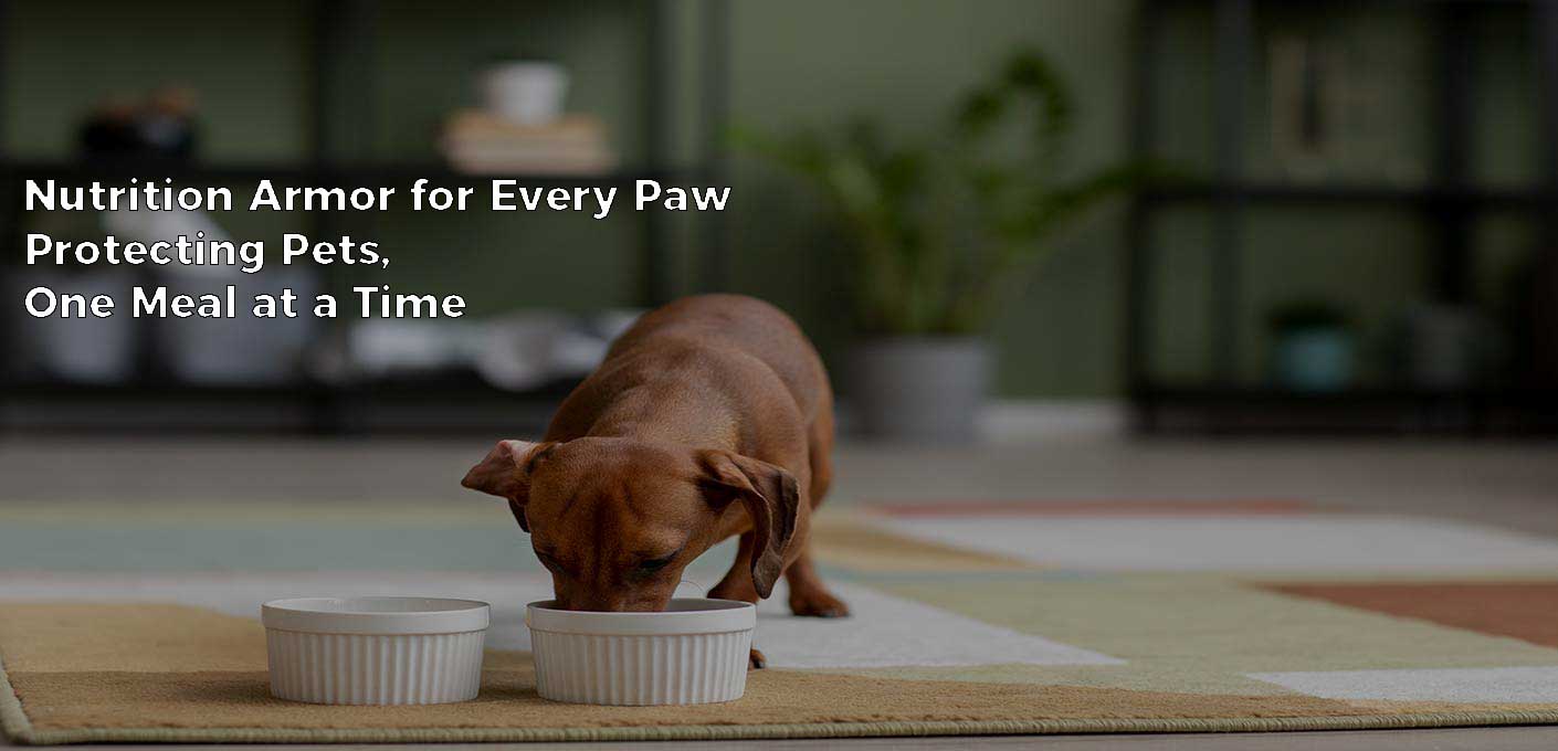 PET FOOD 4
