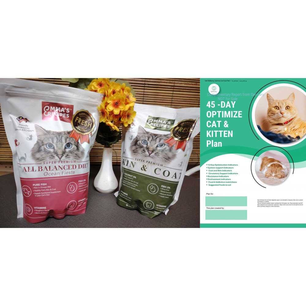 EMMA'S RECIPES CAT REPORT + 3 SET BUNDLES