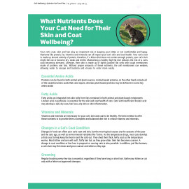 EMMA'S RECIPES CAT REPORT + 3 SET BUNDLES